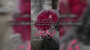   کلیپ تولد 12 بهمن ماهی بهترینم