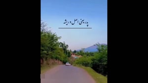 کلیپ روز پدر از طرف دختر / استوری تبریک روز پدر