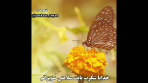 کلیپ خدایا شکرت / کلیپ عاشقی با خدا / کلیپ شکرگزاری