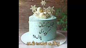 کلیپ تولد 28 دی / کلیپ تولد دی / کلیپ شاد تولد دی