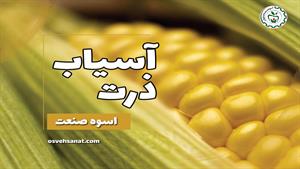 تولید آرد ذرت با آسیاب دو مرحله ای اسوه 09138900047
