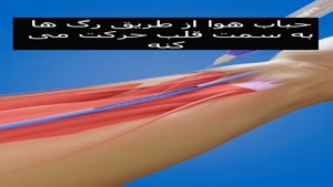vahid2763