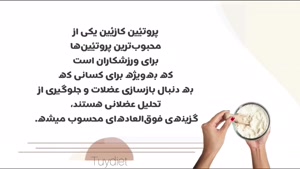 همه چیز در مورد پروتئین شیر