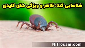 خرید سم کنه - سم کنه قوی
