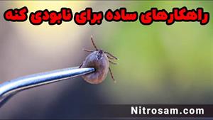 فروشگاه حشره کش کنه در تهران - سم تضمینی کنه