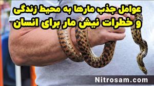 سم نابودی مار و خزندگان - بهترین سم مار کش