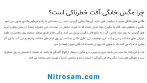 فروشگاه حشره کش مگس در تهران - سم تضمینی مگس