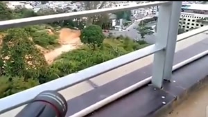 زوم موبایل  قیمت عمده 390هزار