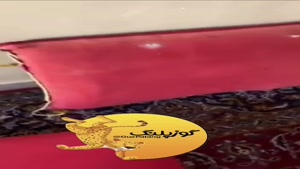 تست کاور