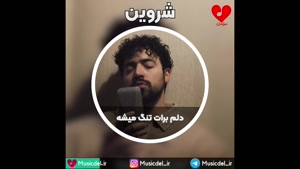 آهنگ دلم برات تنگ میشه - شروین حاجی پور