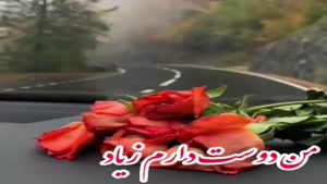 استوری دخترانه / کلیپ روز دختر برای وضعیت واتساپ