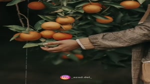 استوری دخترانه / کلیپ پاییزی