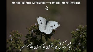 آهنگ عاشقانه و زیبا ای جان و ای جانان من - ه.ش مصنوعی