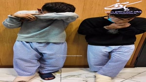 بازداشت سارقان زورگیر خشن موبایل قاپ مناطق شمال تهران