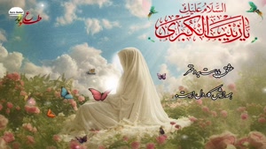 کلیپ کودکانه روز پرستار و میلاد حضرت زینب برای وضعیت