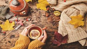 آهنگ مثل هوای نزدیک پاییز