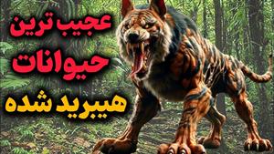 حیات وحش - عجیب ترین حیوانات هیبرید شده -حیواناتی در کابوس