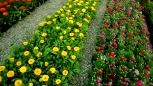 کلیپ بانو زینب به مناسبت میلاد حضرت زینب (س)