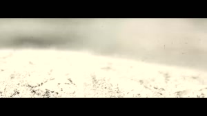 جواد عزتی سریال وحشی ایرانی 