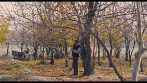 سریال خجالت نکش کمدی و طنز