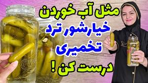 طرز تهیه خیارشور تخمیری پروبیوتیک