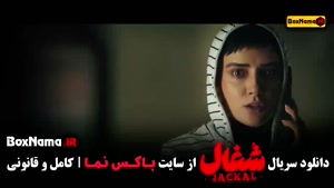 دانلود قسمت یازدهم شغال ایرانی سریال جدید
