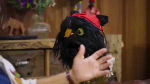 دانلود مسابقه کارناوال قسمت ۱۱