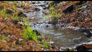 فیلم خجالت نکش قسمت ۴