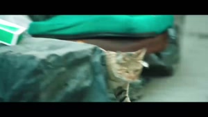 سریال افعی تهران چند قسمت است ؟ ۱۶ قسمت