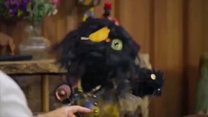 کارناوال قسمت یازدهم