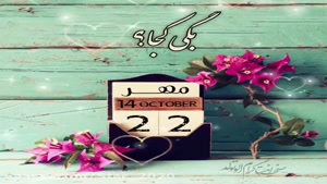 کلیپ تولد 22 مهر ماهی برای استوری و وضعیت