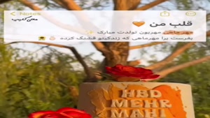 کلیپ استوری تبریک تولد/ کلیپ تولد مهر ماهی برای وضعیت