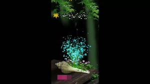 کلیپ خدایا شکرت / کلیپ خدایا تو که باشی / استوری خدا