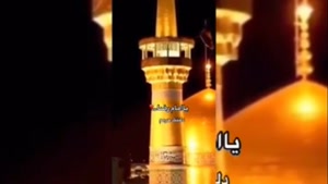 کلیپ امام رضا برای استوری و واتساپ / دلتنگتم امام رضا