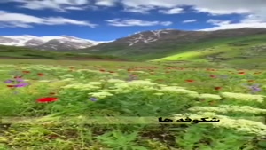 ولادت حضرت زینب / کلیپ روز پرستار  برای وضعیت