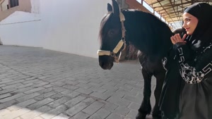 کلیپ های طنز پریسا پورمشکی - کلاس اسب سواری ثبت نام کردیم 😍