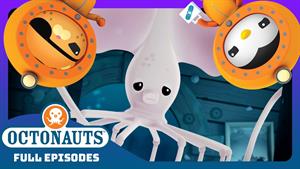 روح ماهی مرکب شاخک‌ دار