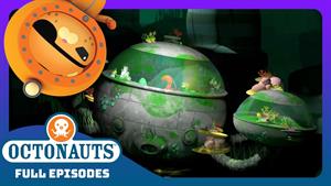 معمای شبح‌ وار هشت‌پا