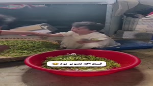 ای خدا نازی