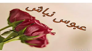 کلیپ زیبای صبح بخیر با انرژی مثبت 