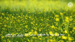 کلیپ صبحگاهی / دعا و زمزمه با خداوند برای آغاز روزی بی نظیر