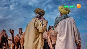 اسرار ثروتمند شدن/ رسیدن به رزق و روزی از مثنوی معنوی مولانا