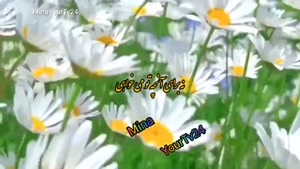 کلیپ صبح بخیر خیلی قشنگ برای استوری 