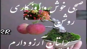 کلیپ صبح بخیر / پر انرژی / کلیپ صبح بخیر برای استوری