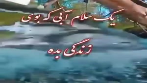 کلیپ صبح بخیر پرانرژی به همراه آهنگ شاد