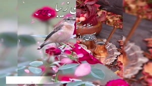 کلیپی زیبا و پر انرژی با ترانه ای زیبا برای صبح بخیر