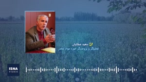  طرح کشت خشخاش؛ از ممنوعیت مطلق تا قانونی شدن