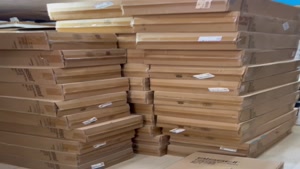 بخارشوی و جارو شارژی بیسل