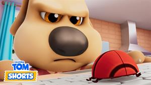 کارتون تام سخنگو _ برو گمشو