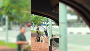 کلیپ های پریسا پور مشکی - اکچری ترین فرودگاه جهان 